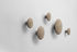 The Dots Wood Hook - / Set of 5 by Muuto