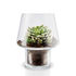Small Vase - / For succulents - Ø 15 cm by Eva Solo